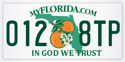 FL license plate 0128TP