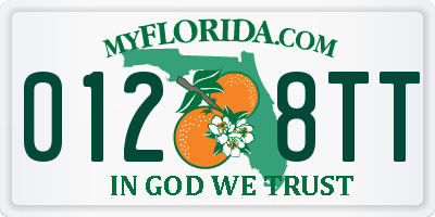 FL license plate 0128TT