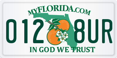 FL license plate 0128UR