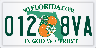 FL license plate 0128VA