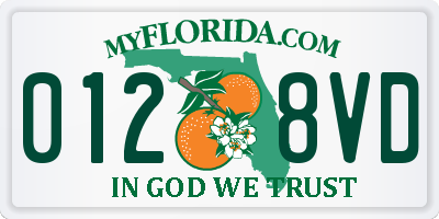 FL license plate 0128VD
