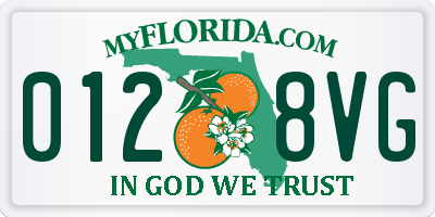FL license plate 0128VG