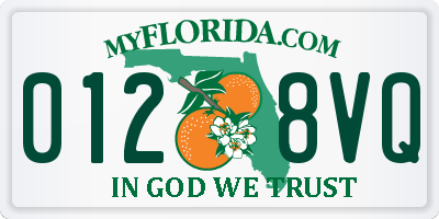 FL license plate 0128VQ