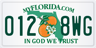 FL license plate 0128WG