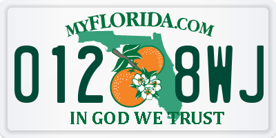FL license plate 0128WJ