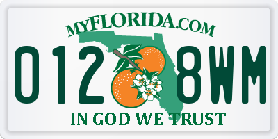 FL license plate 0128WM