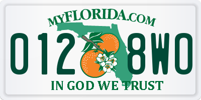 FL license plate 0128WO