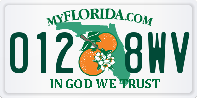 FL license plate 0128WV