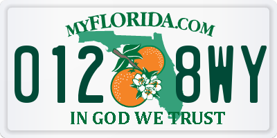 FL license plate 0128WY