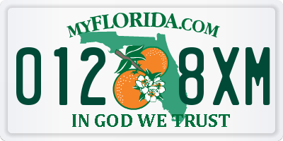 FL license plate 0128XM