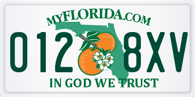 FL license plate 0128XV