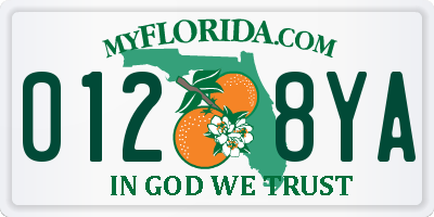 FL license plate 0128YA