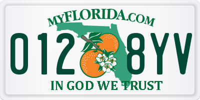 FL license plate 0128YV