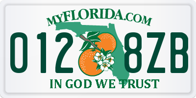FL license plate 0128ZB