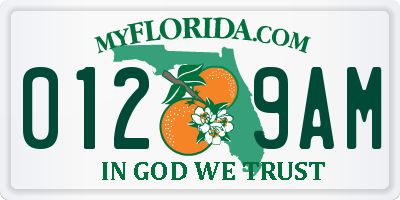 FL license plate 0129AM