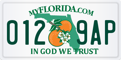 FL license plate 0129AP