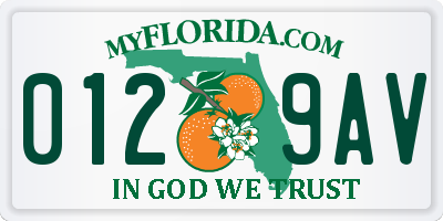FL license plate 0129AV