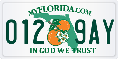 FL license plate 0129AY