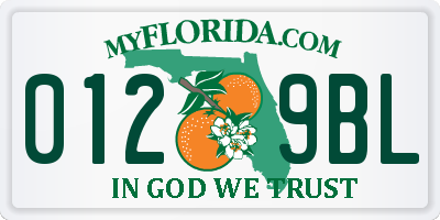 FL license plate 0129BL