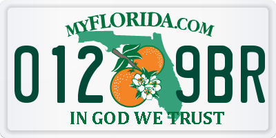 FL license plate 0129BR