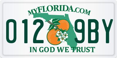 FL license plate 0129BY