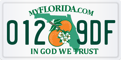 FL license plate 0129DF