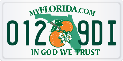 FL license plate 0129DI
