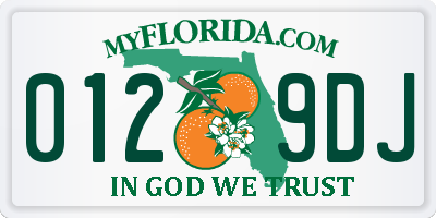 FL license plate 0129DJ
