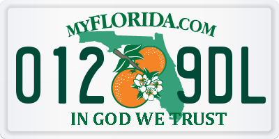FL license plate 0129DL