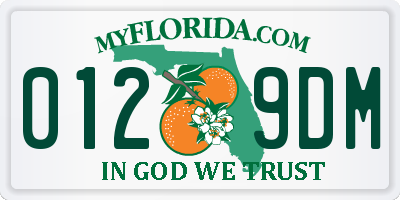 FL license plate 0129DM