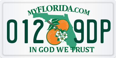 FL license plate 0129DP