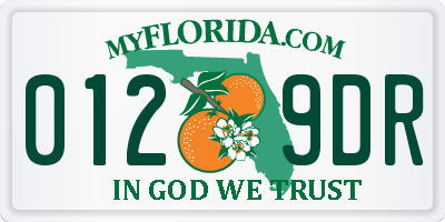 FL license plate 0129DR