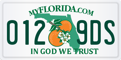 FL license plate 0129DS
