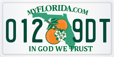 FL license plate 0129DT