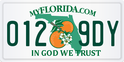 FL license plate 0129DY