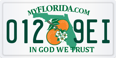 FL license plate 0129EI