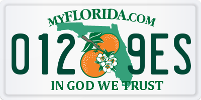 FL license plate 0129ES