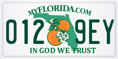 FL license plate 0129EY