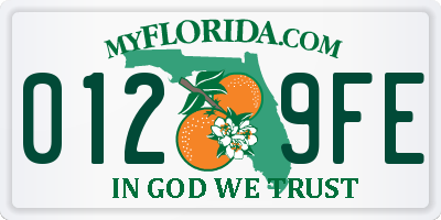 FL license plate 0129FE