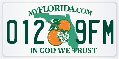 FL license plate 0129FM
