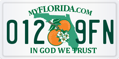 FL license plate 0129FN
