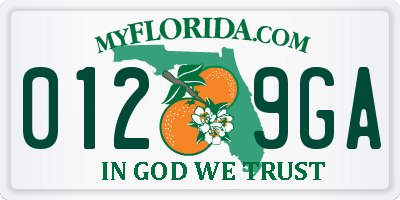 FL license plate 0129GA