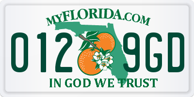 FL license plate 0129GD