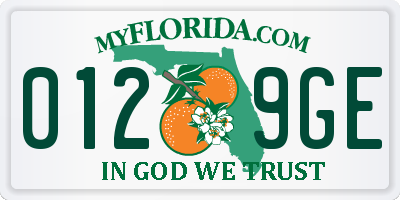 FL license plate 0129GE