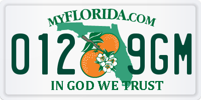 FL license plate 0129GM