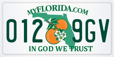 FL license plate 0129GV