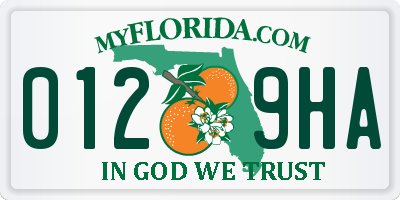 FL license plate 0129HA