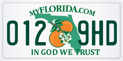 FL license plate 0129HD