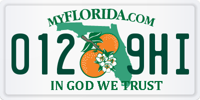 FL license plate 0129HI