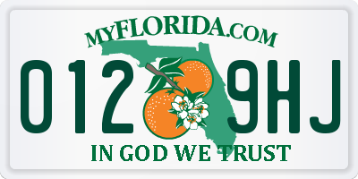 FL license plate 0129HJ